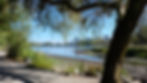 The Lost Lagoon